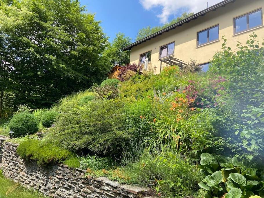 Hundeparadies Waldblick Lauenstein Ludwigsstadt Bagian luar foto