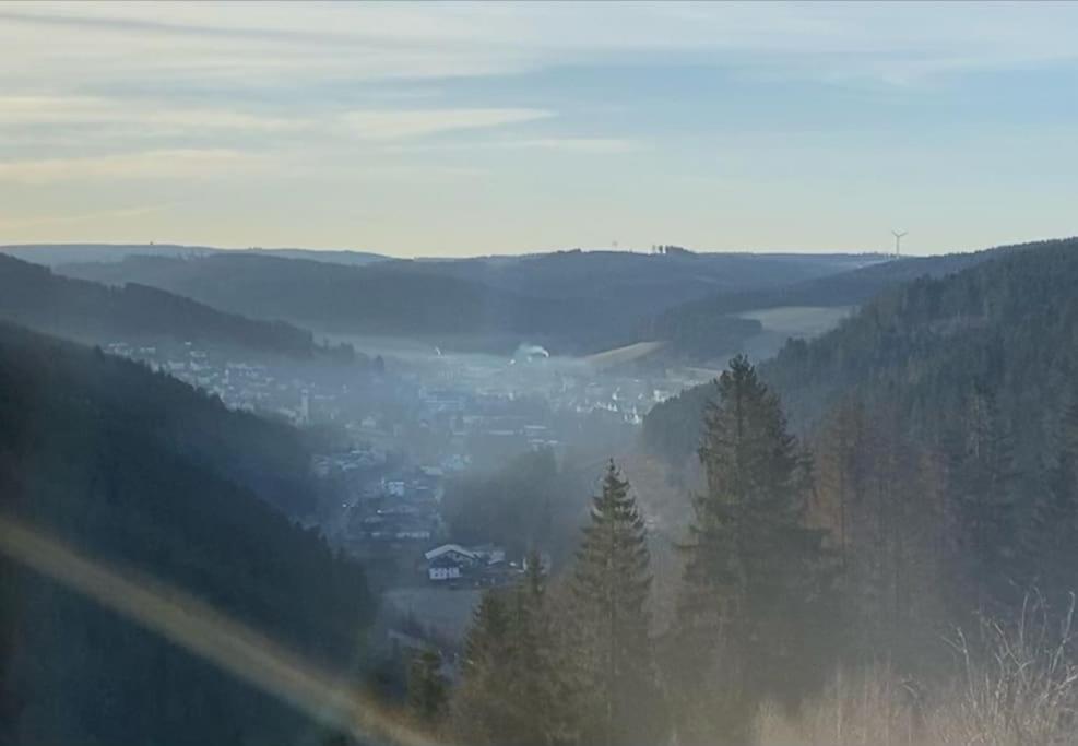 Hundeparadies Waldblick Lauenstein Ludwigsstadt Bagian luar foto