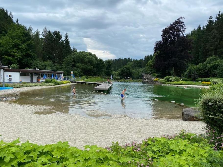 Hundeparadies Waldblick Lauenstein Ludwigsstadt Bagian luar foto