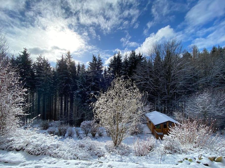 Hundeparadies Waldblick Lauenstein Ludwigsstadt Bagian luar foto